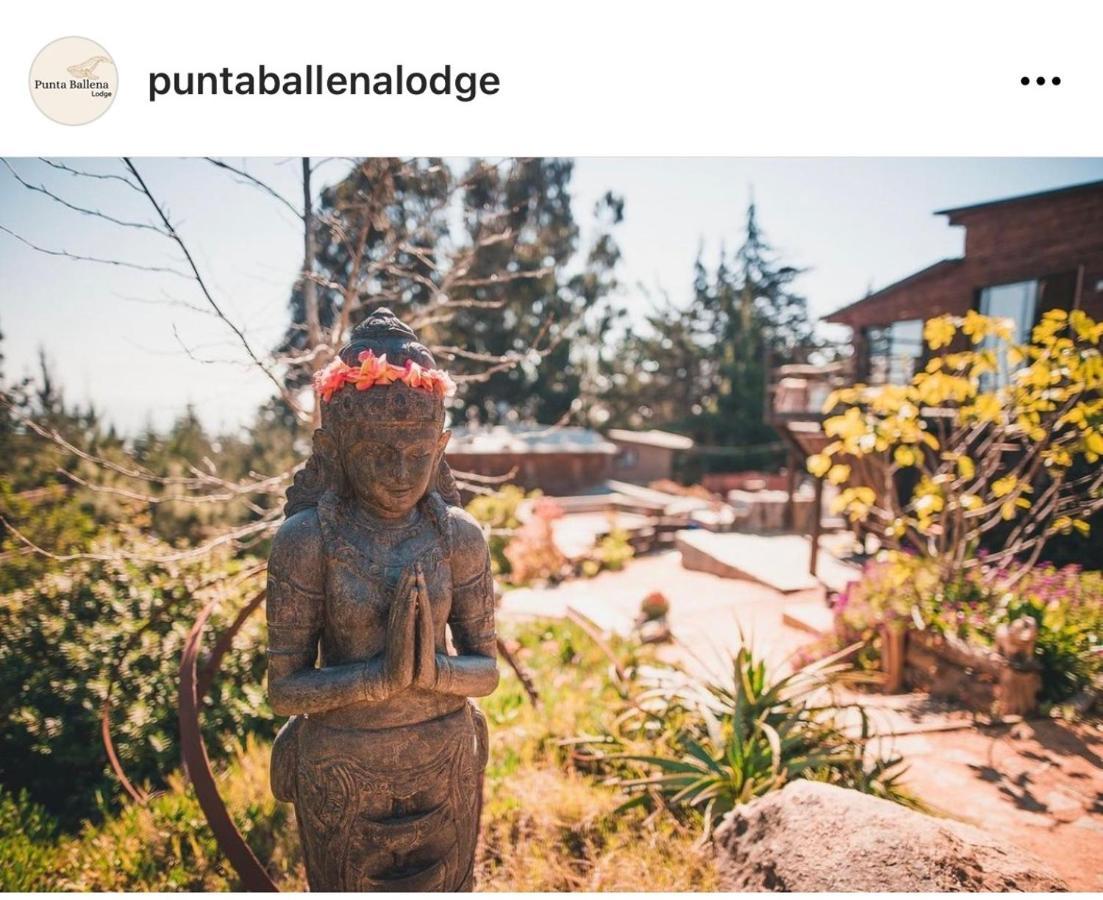 Punta Ballena Lodge Pichilemu Exterior foto